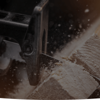 banner-back.png